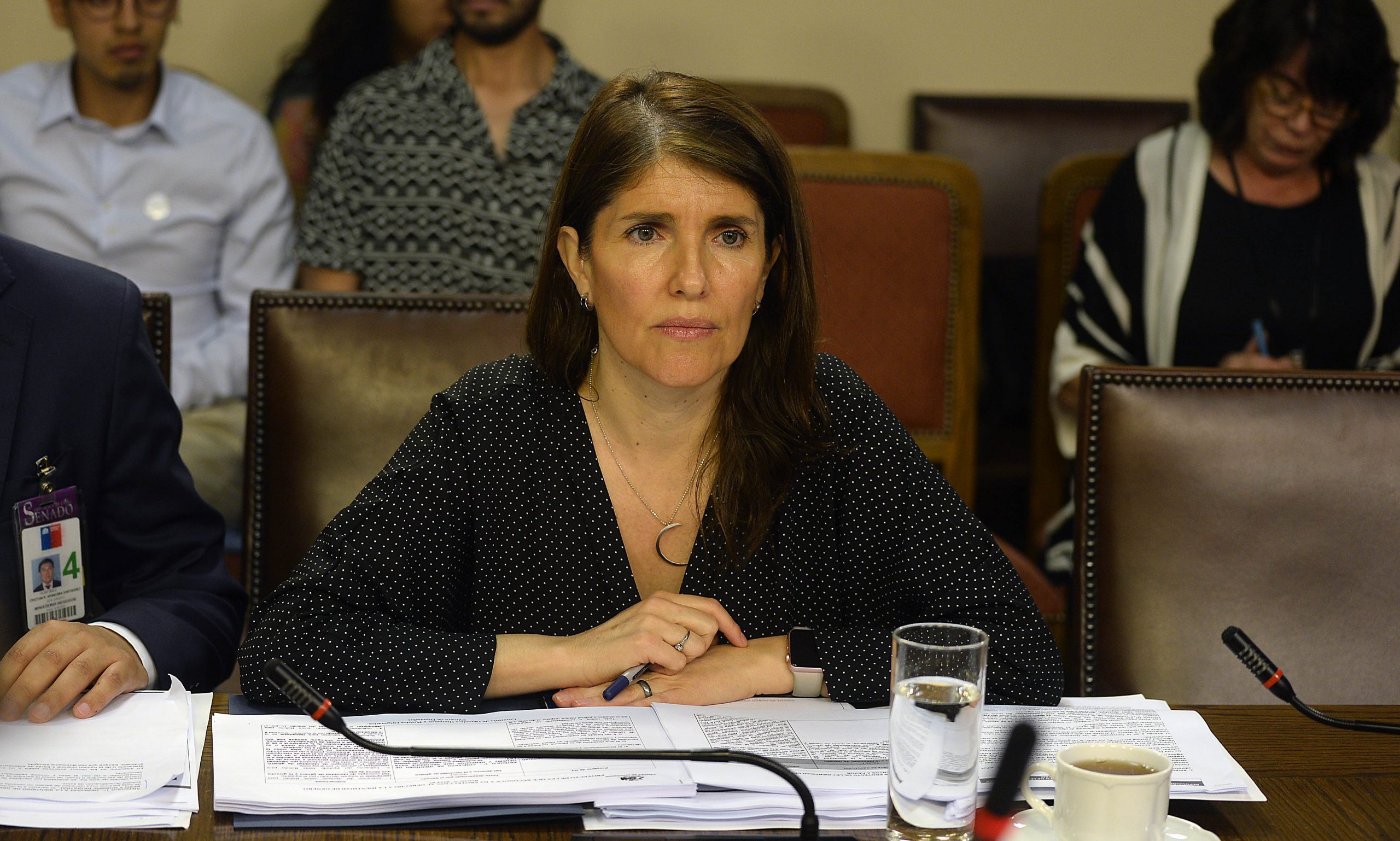 Paula Narváez anuncia candidatura a La Moneda tras diálogo clave con presidente del PS