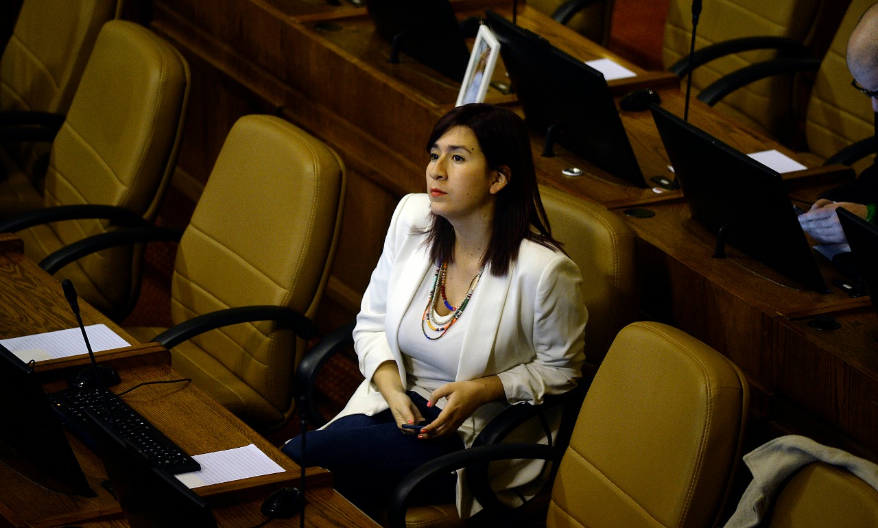Presidenta RD y medición Boric-Jadue: “Una primaria solo con algunos sería un despropósito”