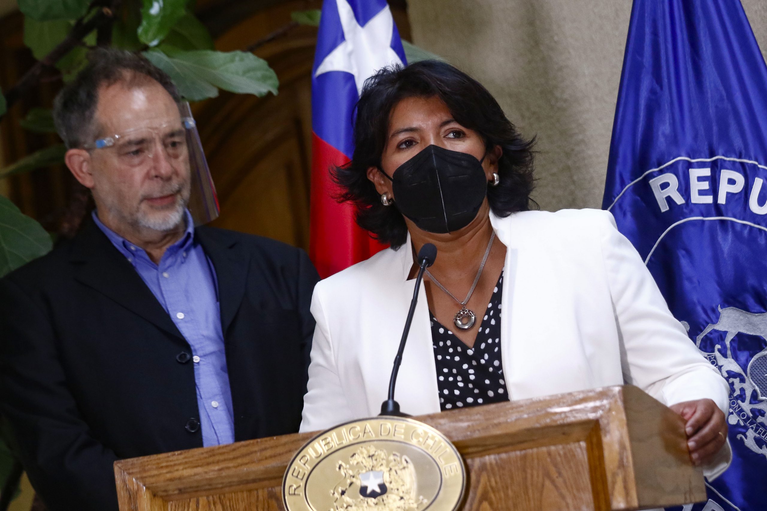 Oposición se inclina por aprobar proyecto de Piñera con cambios, pero solo tras el fallo del TC
