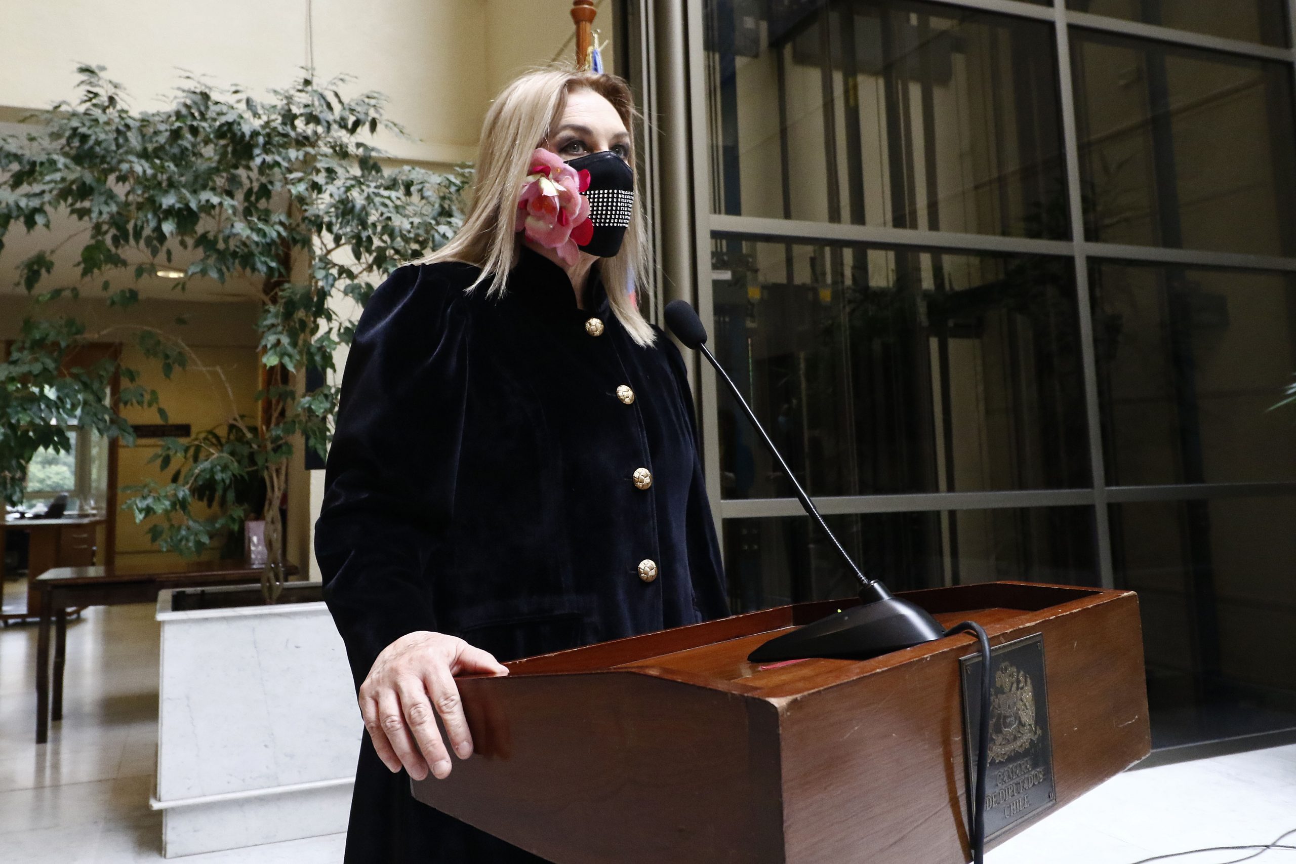 Pamela Jiles: Por qué el Partido Humanista analiza llevarla de candidata presidencial a primera vuelta