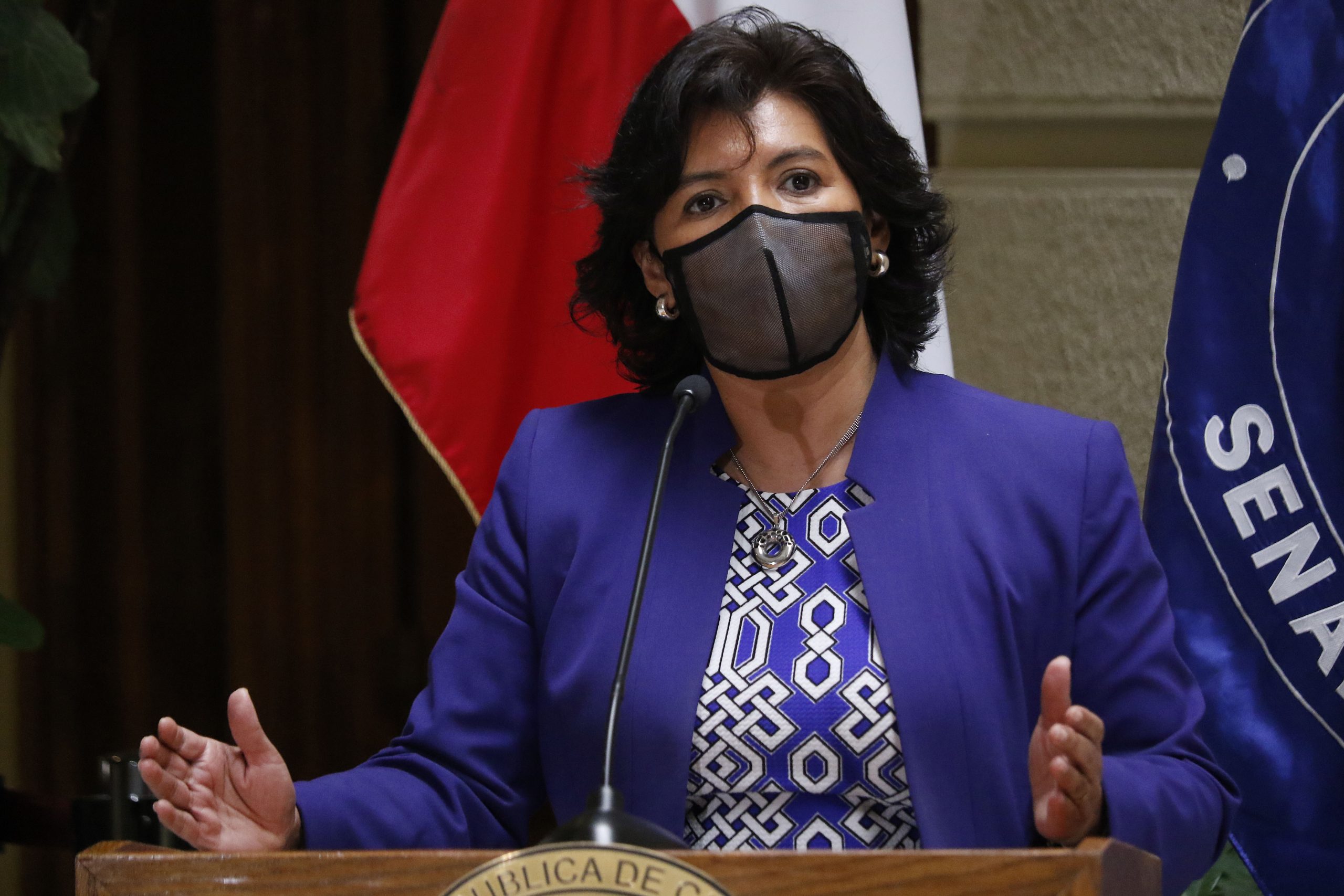 Opinión: Yasna Provoste tiene que actuar pronto porque hay mucho en juego. Por Kenneth Bunker