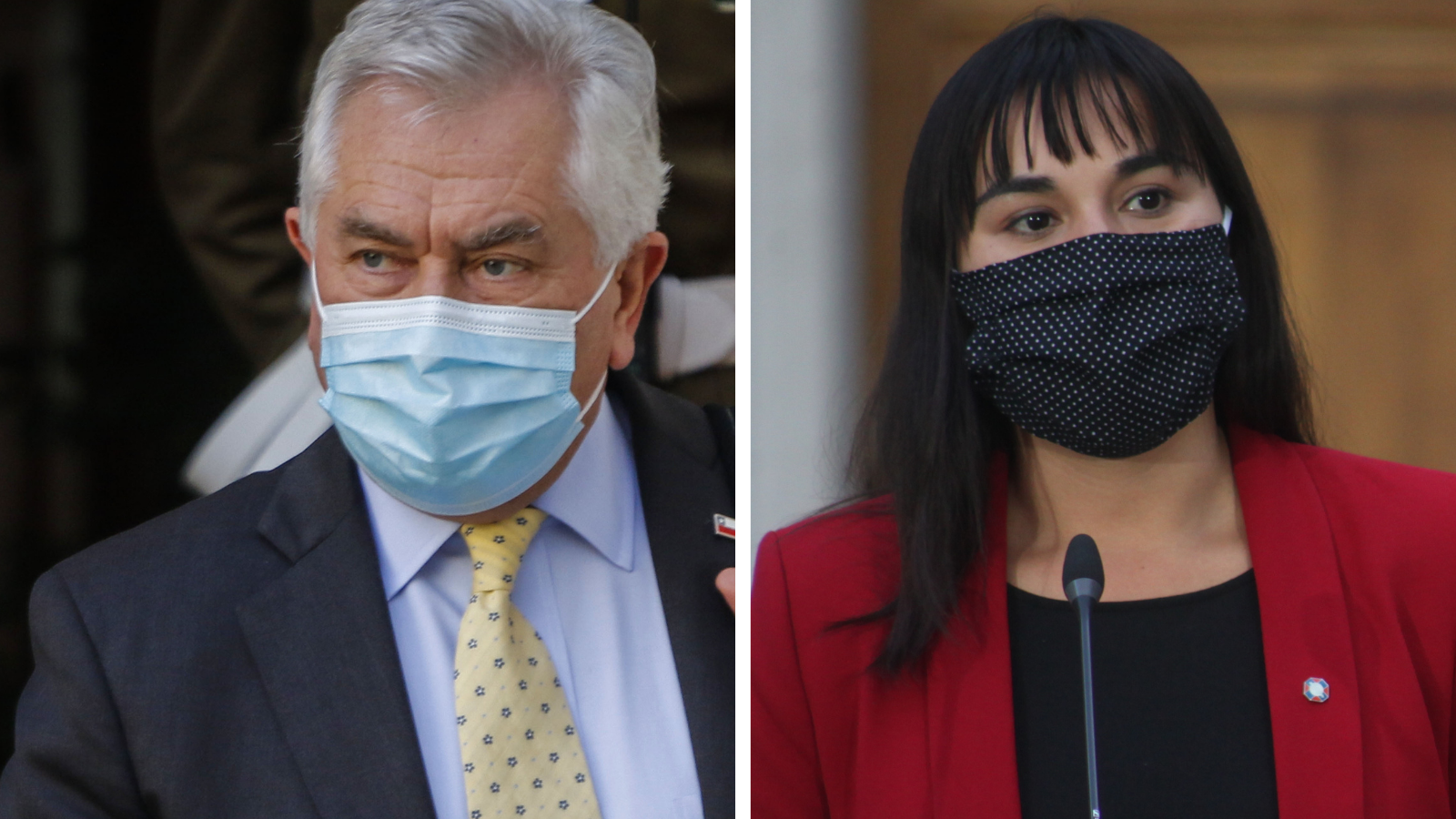 Reunión Minsal-Colmed: Los altibajos de la relación entre Izkia Siches y Enrique Paris