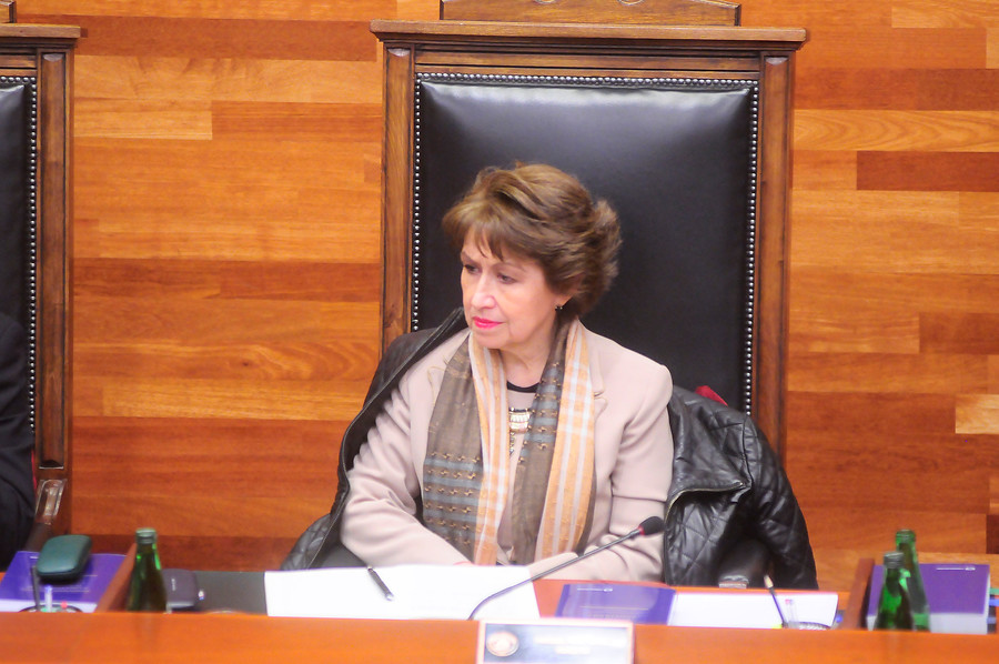 Marisol Peña alerta vacío para sancionar infracciones de constituyentes: “Podría configurarse causal de cesación del cargo, el problema es quién lo determina”