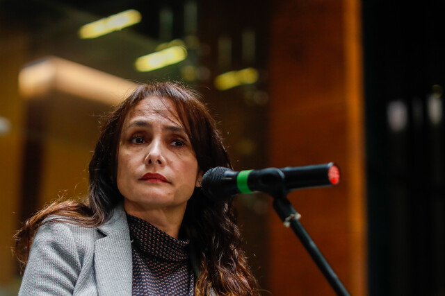 Caso Dominga: ¿Cuán diferentes son los contratos en inglés y español que la Fiscalía considera relevantes?