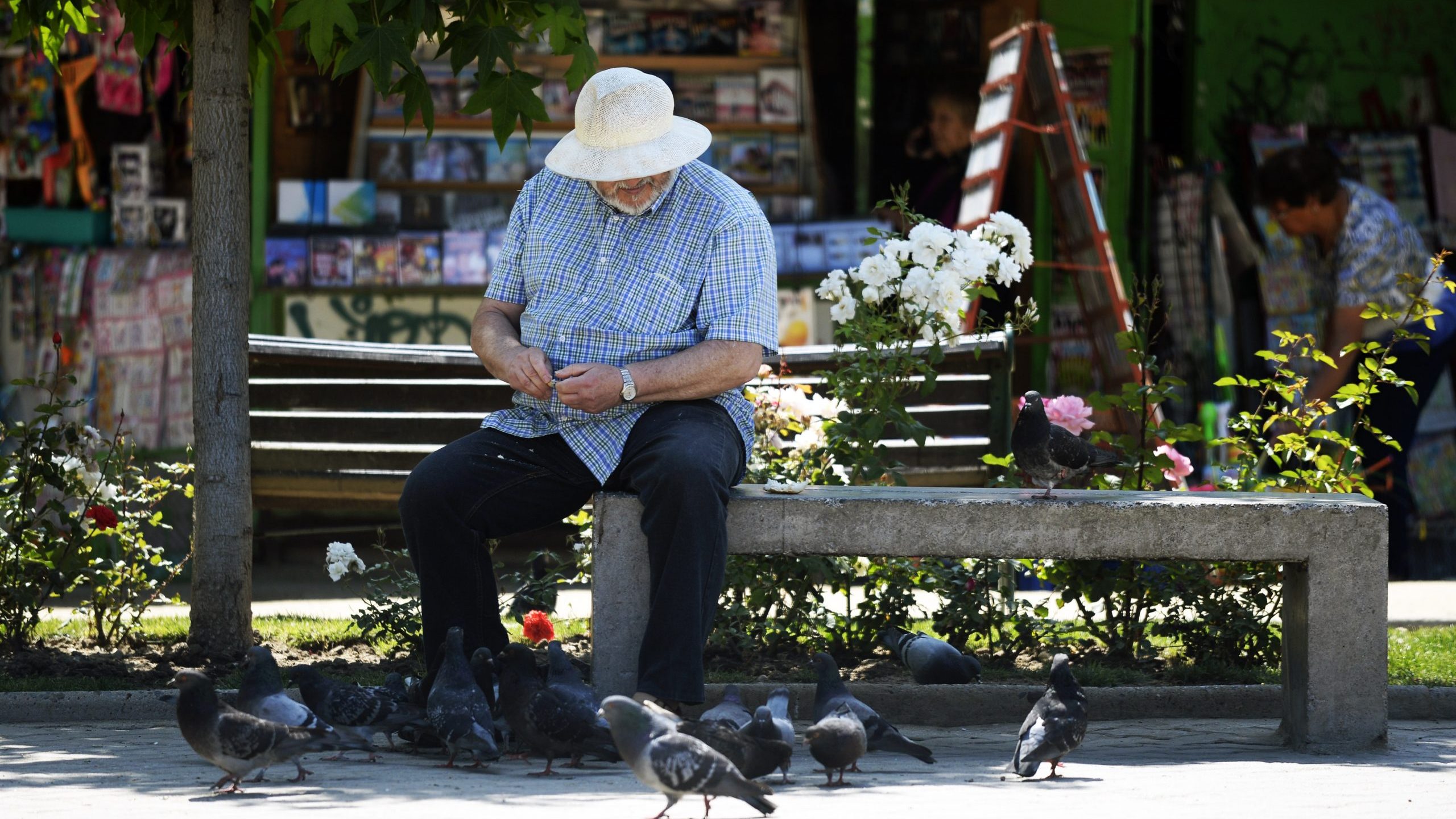 Pensiones: la mitad de las propuestas que votará la Convención cierran el sistema a privados