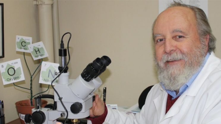 El fin de los informes de Mauricio Canals, experto en cifras del Covid: “La pandemia ha entrado en una etapa aparentemente más predecible y benigna”