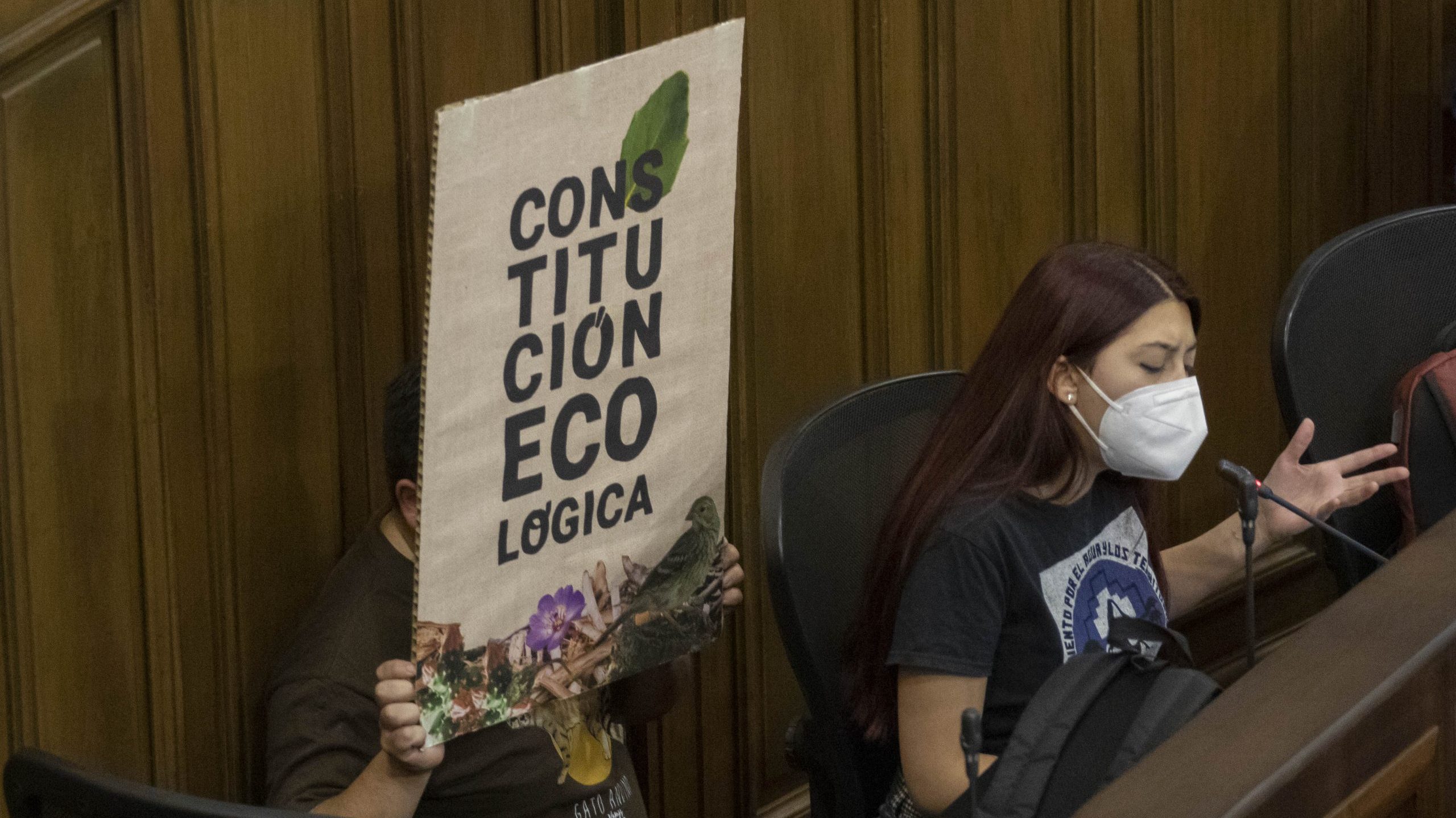 Convención: En qué consiste la participación ambiental “vinculante” aprobada por el pleno (y el debate que vendrá)