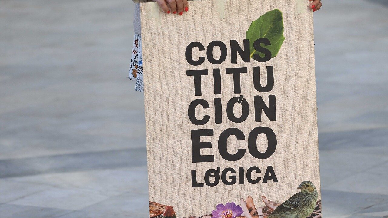 Convención y Medio Ambiente: se excluye a la sociedad civil, a la iniciativa privada y a la innovación. Por Paula Streeter