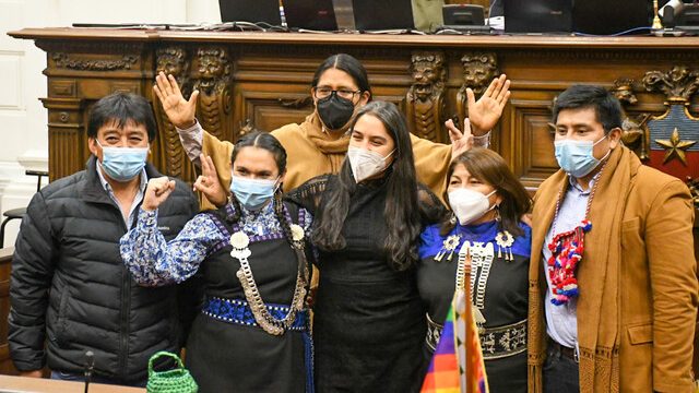 Rechazo de la plurinacionalidad. Por Sergio Muñoz Riveros