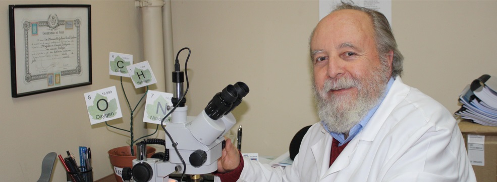 Mauricio Canals, experto en Covid: “Esta epidemia se encontraría gripalizada”