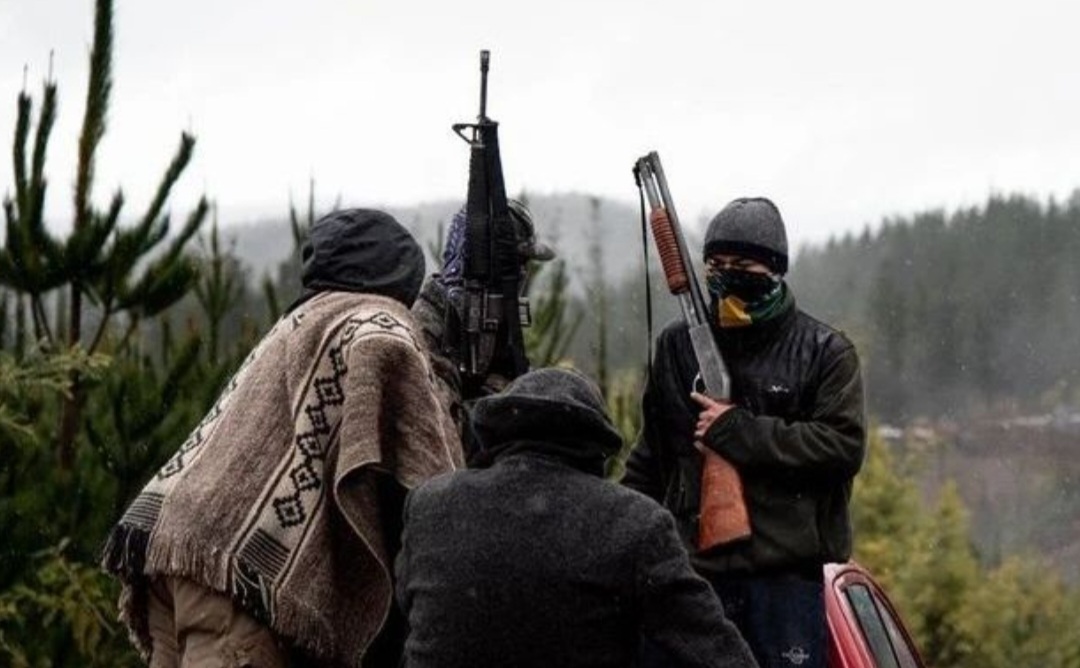 El nuevo llamado de la CAM a las armas y sus críticas a la plurinacionalidad