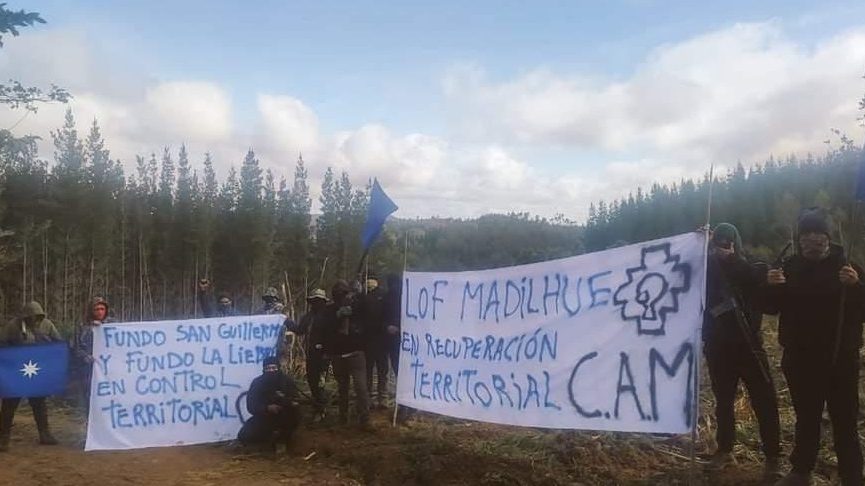 Robo de madera: las pistas que arrojó la investigación del atentado al fiscal Elgueta cometido por la CAM