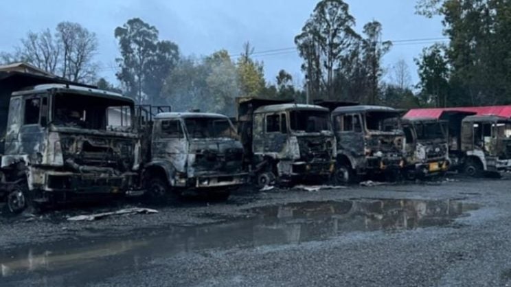 [Confidencial] El reclamo de los contratistas forestales contra el Estado que revisará la OIT (y cómo puede complicar a La Moneda)