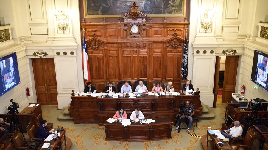 Proceso constitucional: Querer que le vaya bien no es negar sus falencias. Por Noam Titelman