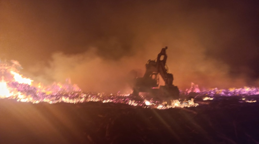 De grupos radicales a un imputado derivado al siquiátrico: Las querellas que presentó el gobierno en La Araucanía por incendios intencionales