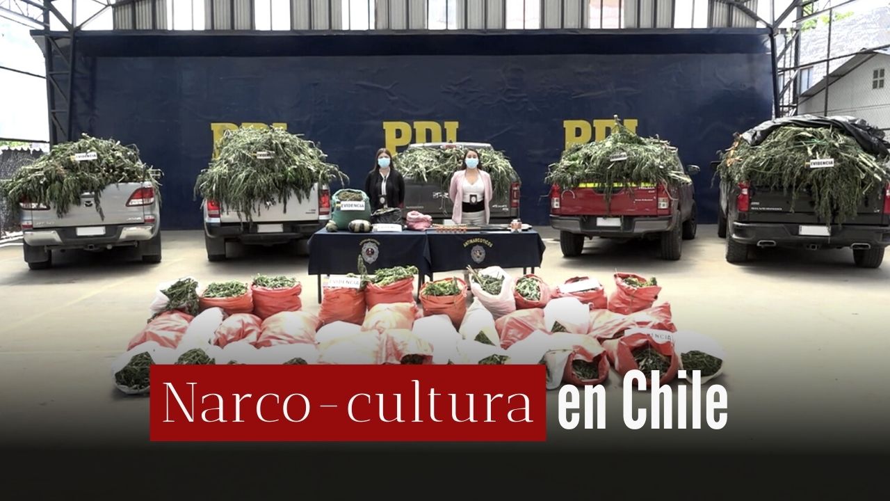Narcocultura (Segunda parte): el llamado “Sinaloa chileno” y las creencias de los carteles de marihuana del secano costero