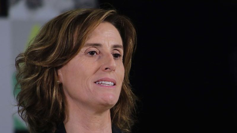 La sensible fibra que tocó el sueldo de Cubillos en tiempos electorales. Por Jorge Schaulsohn