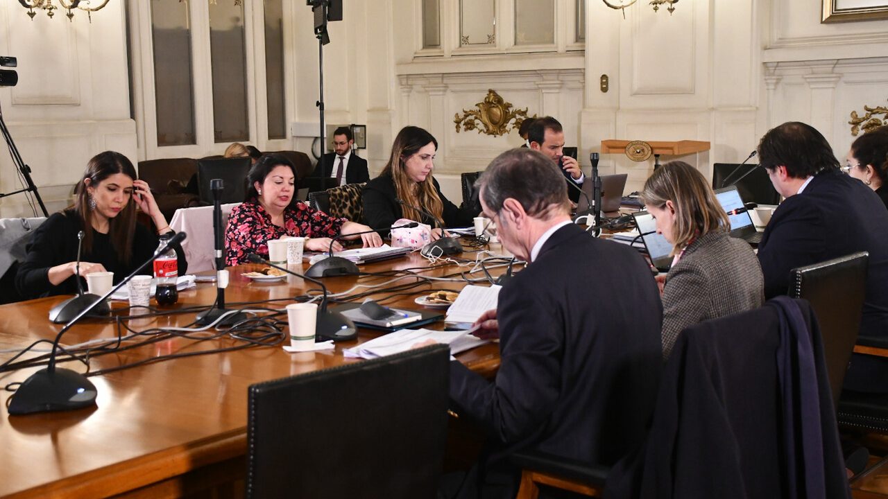 Balance final del trabajo de las subcomisiones: consensos y temas pendientes