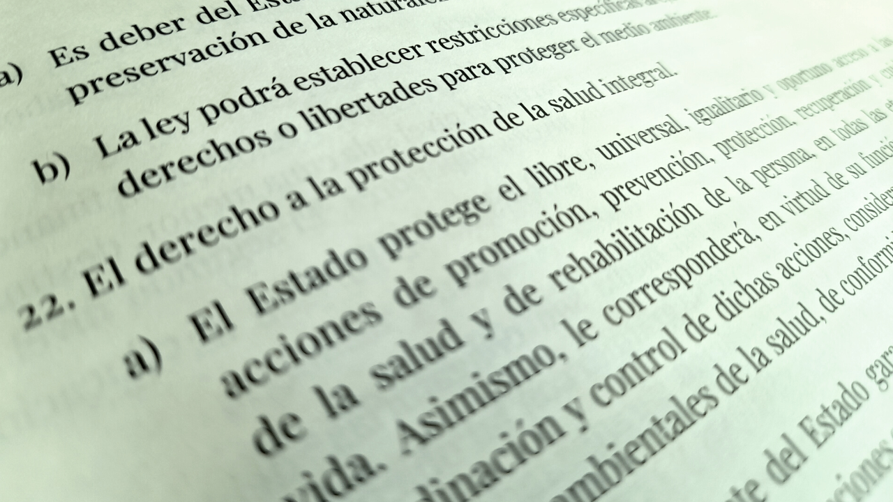 Salud en nueva Constitución: plan universal sin discriminación y libertad de elección