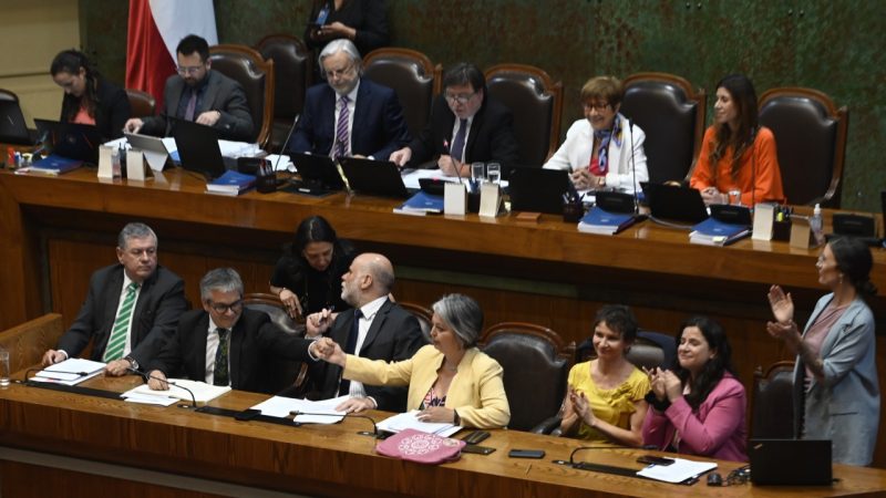 Pensiones: Gobierno aprueba idea de legislar, pero se cae el corazón de la reforma y Diego Ibáñez enloda apoyo de Demócratas