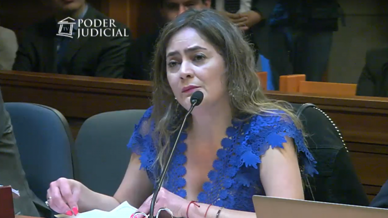 Lo que hay que saber de Lorena Parra, la fiscal a cargo del Caso Audios que reconoció chats con Luis Hermosilla
