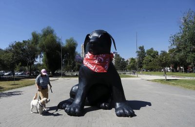 Perro Matapacos: Pérdida total. Por Rafael Gumucio