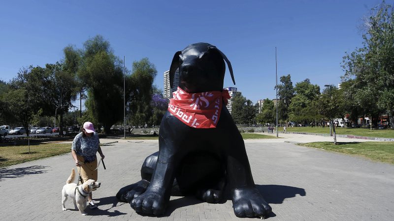 Perro Matapacos: Pérdida total. Por Rafael Gumucio