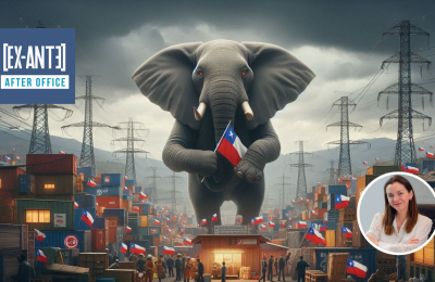 El elefante en la habitación: Crisis por tarifas eléctricas y desafíos políticos en Chile. Por Natalia Aránguiz