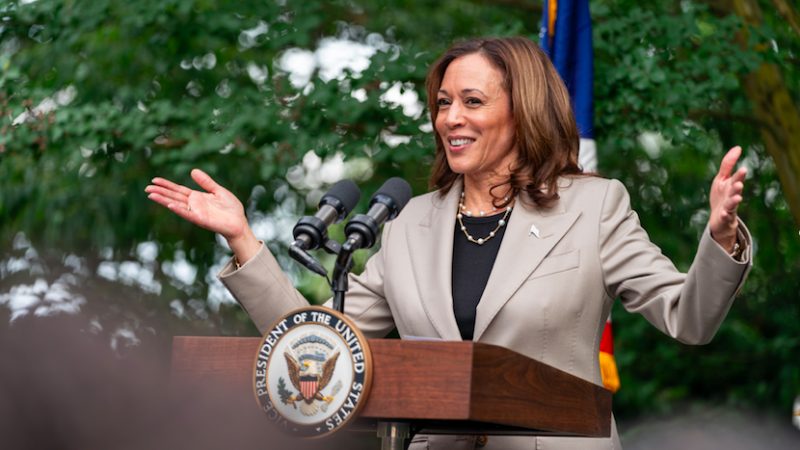 Kamala Harris, candidata: una historia en tres actos. Por Paz Zárate