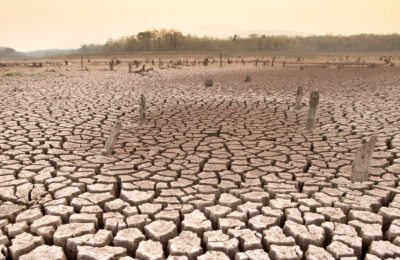 Edgar Friendly y la seducción del negacionismo climático. Por Cristóbal Bellolio