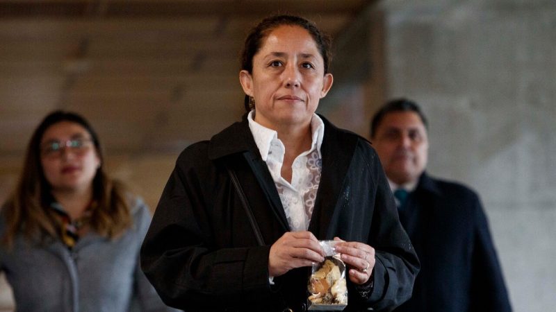 Quién es la Fiscal Chong y su aplastante derrota en el Caso Pío Nono, que trató sin éxito de abandonar