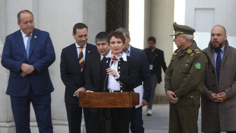 Insuficientes medidas contra la ola de delincuencia. Por Francisca Werth Wainer