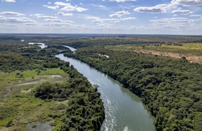 Directorio de Arauco aprueba construcción del Proyecto Sucuriú