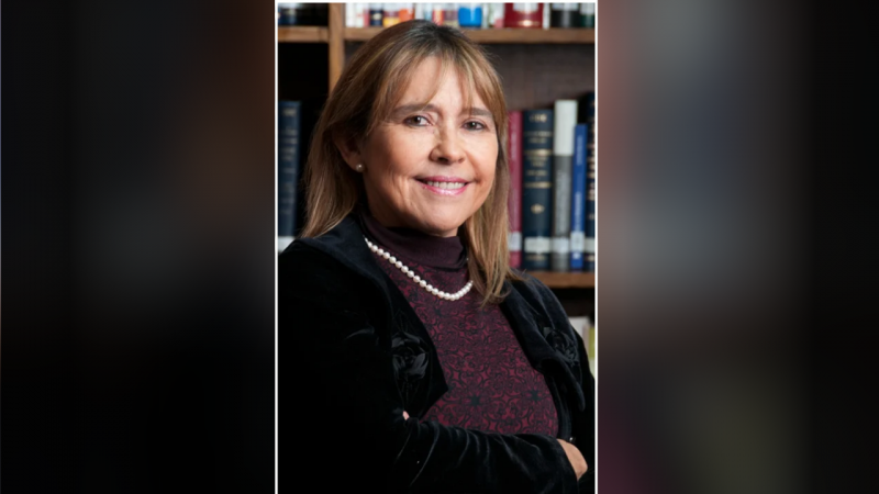 Perfil: María Inés Horvitz, la ex CDE que defiende a Monsalve y su primera arremetida en el caso