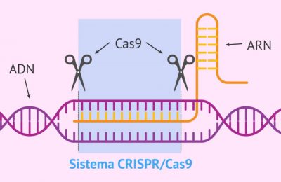 Algo es algo: CRISPR