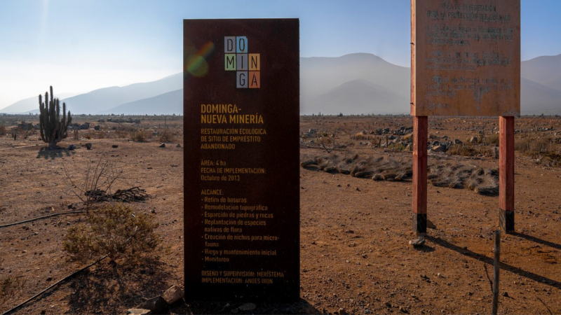 De Dominga, crecimiento, pobreza y desigualdad. Por María Cristina Betancour
