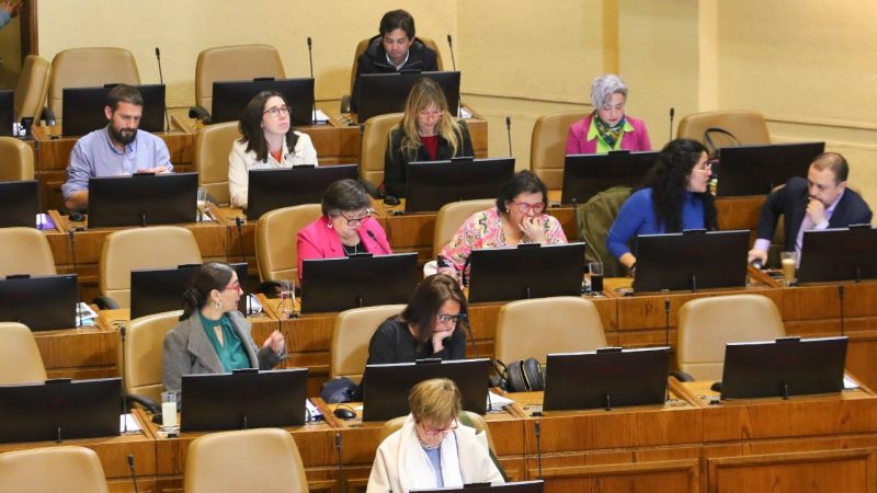 Los diputados que votaron en contra de que Chile califique a Hezbollah como grupo terrorista