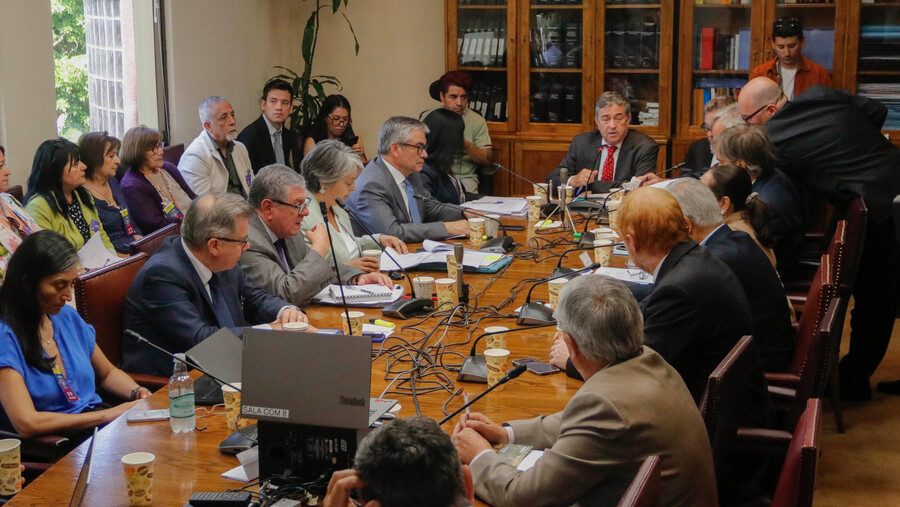 La gallina de los huevos de oro: el debate sobre el 6%. Por Kenneth Bunker