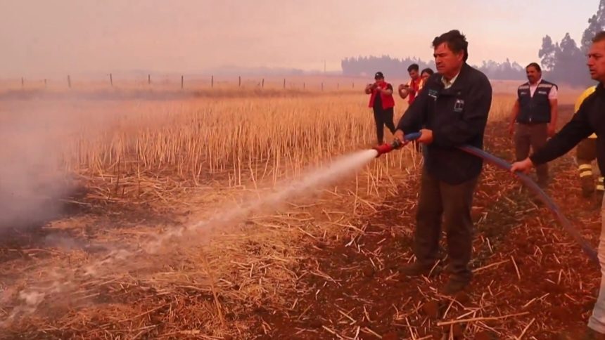 Perfil: Esteban Valenzuela y la nueva controversia que enfrenta por video que difundió combatiendo un incendio forestal