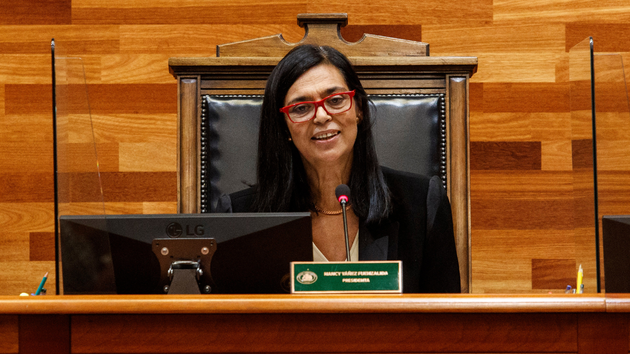 Nancy Yáñez, la integrante del TC (y cercana al FA) que se transformó en blanco de la ira del PS por su voto contra Isabel Allende