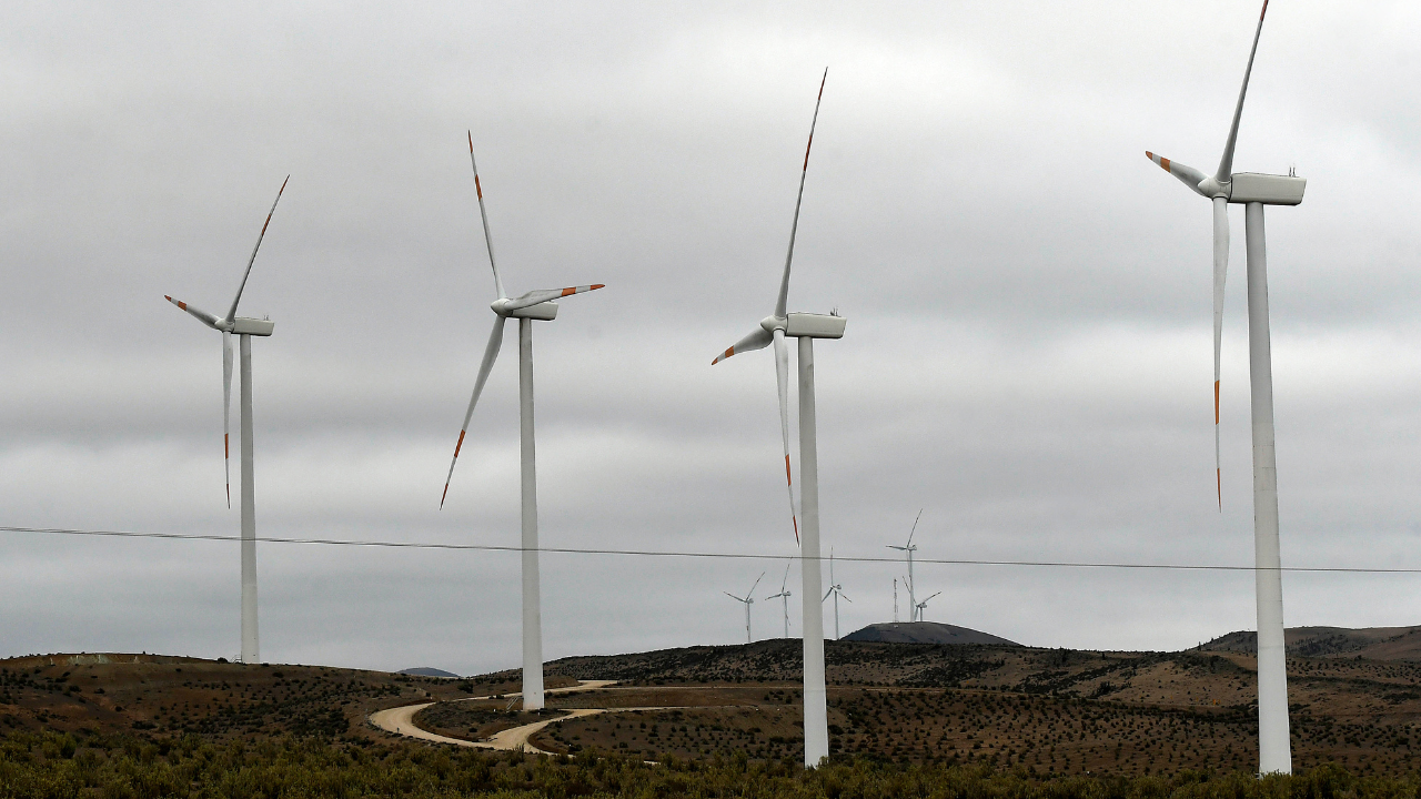 Parque Eólico Alto Los Muermos: cómo es el proyecto de US$ 1.000 millones con capital chino (y las primeras observaciones)