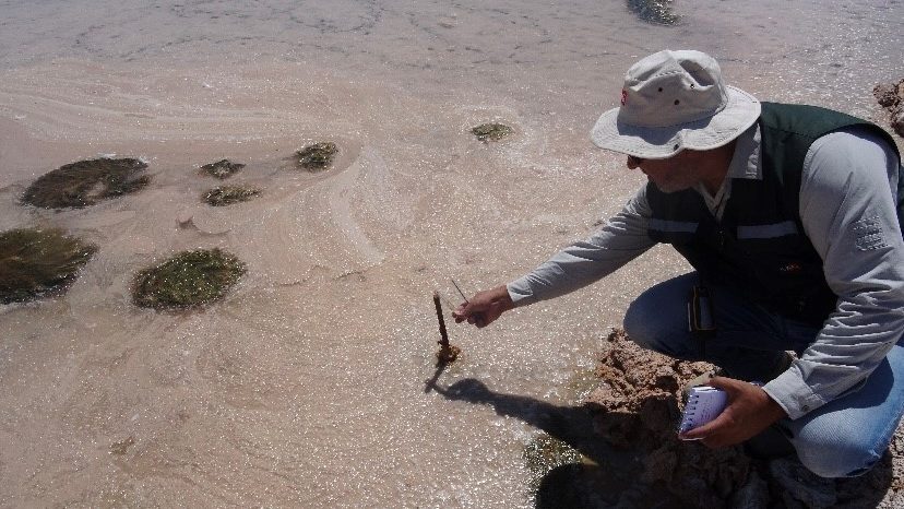 Super del Medio Ambiente multa a la mayor productora de litio del mundo por incumplimientos en el Salar de Atacama