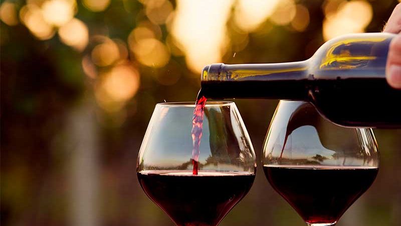 Industria del vino en peor crisis en 20 años: Baja en la producción y el consumo, y fuerte caída en nuevas generaciones