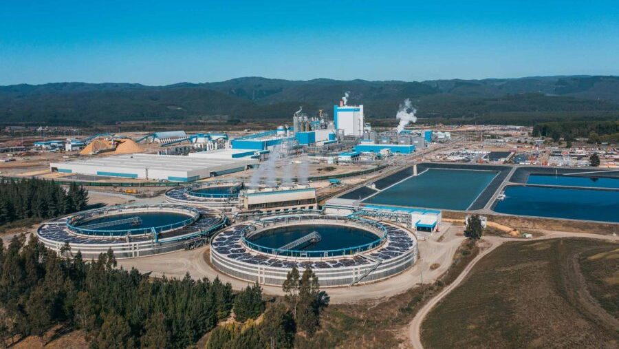Qué hay detrás del bono corporativo emitido por Arauco, el más grande de la historia en Chile