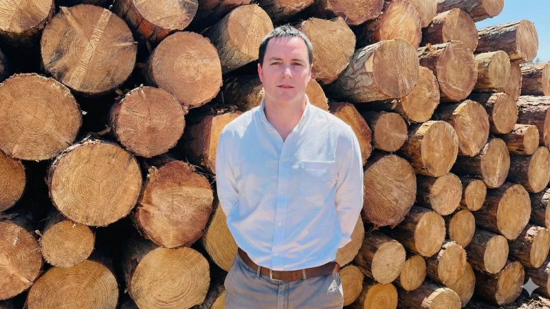 Ignacio Vera, CEO de Forestal Santa Blanca: “Necesitamos sanciones efectivas, que no sea gratis comenzar un incendio”