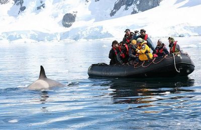 Así es el boom del turismo a la Antártica: lujo y celebridades