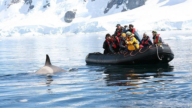 Así es el boom del turismo a la Antártica: lujo y celebridades
