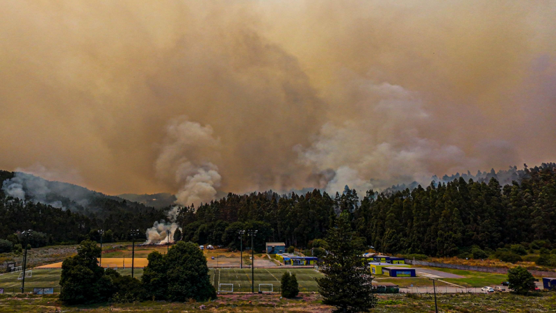 Incendios forestales: el riesgo climático que ha llegado a costar casi un punto del PIB