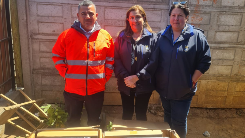 ARAUCO despliega apoyo operativo en Penco y Tomé tras incendios