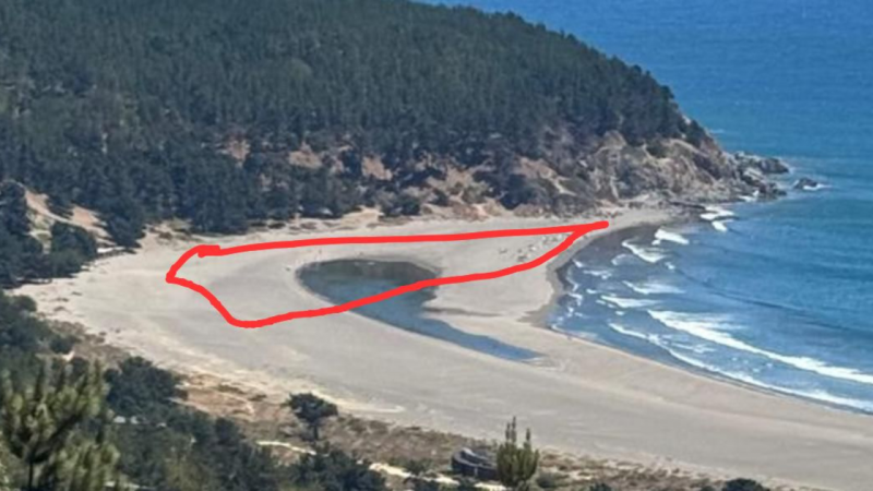 Polémica en Puertecillo por concesión a pescadores en sector clave del borde costero